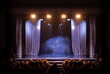 © Tatiana - scene, stage light with colored spotlights and smoke