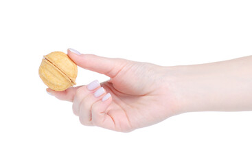 Wall Mural - Nuts with condensed milk in hand on white background isolation