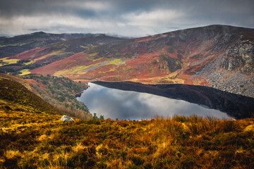 Wall Mural - Lough Tay also known as Guinness Lake autumn colors. Ireland, Europe