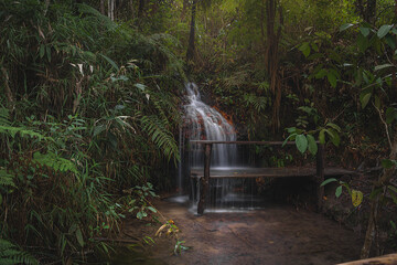 Canvas Print - bridge in the forest