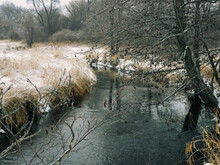 Creek In Winter: Water In A Creek Runs Through A Snow Covered Prairie With A Few Bare Trees Along The Banks Of The River On A Winter Day