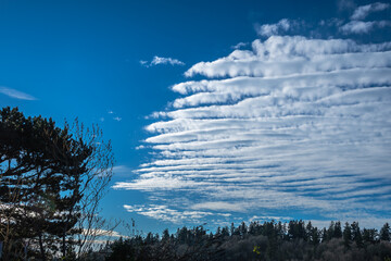 Wall Mural - 2021-01-21 WHITE VERTICAL CLOUDS AGAINST A BLUE SKY