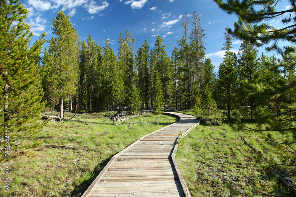 Two Ribbons Trail boardwalk in Yellowstone National Park, Wyoming Stock ...