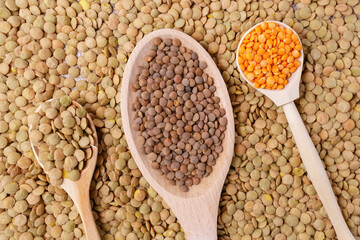 dry orange, red, green lentils in wooden spoons. selective focus