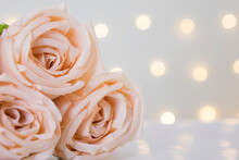 Sweet Color Rose On White Background With Bokeh Lights And Copyspace For Text.