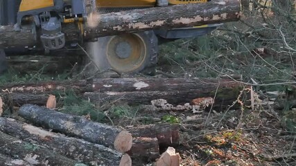 Poster - machines for the forestry industry in action