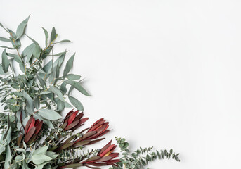 Beautiful flat lay floral arrangement of mostly Australian native flowers including Silvan Reds, Wattle foliage and Eucalyptus leaves with a white background.