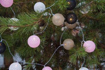 New Year's background. On the snow-covered spruce paws are located balls-garlands.