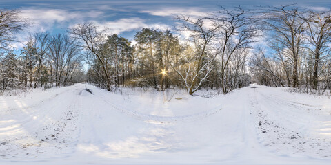 Wall Mural - Winter full spherical hdri panorama 360 degrees angle view in snowy pinery forest with blue sky and sunny evening in equirectangular projection. VR AR content