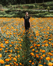A Young Woman Walking Through A Field Of Beautiful Orange Flowers In Bali, Indonesia. Marigolds In Full Bloom. 