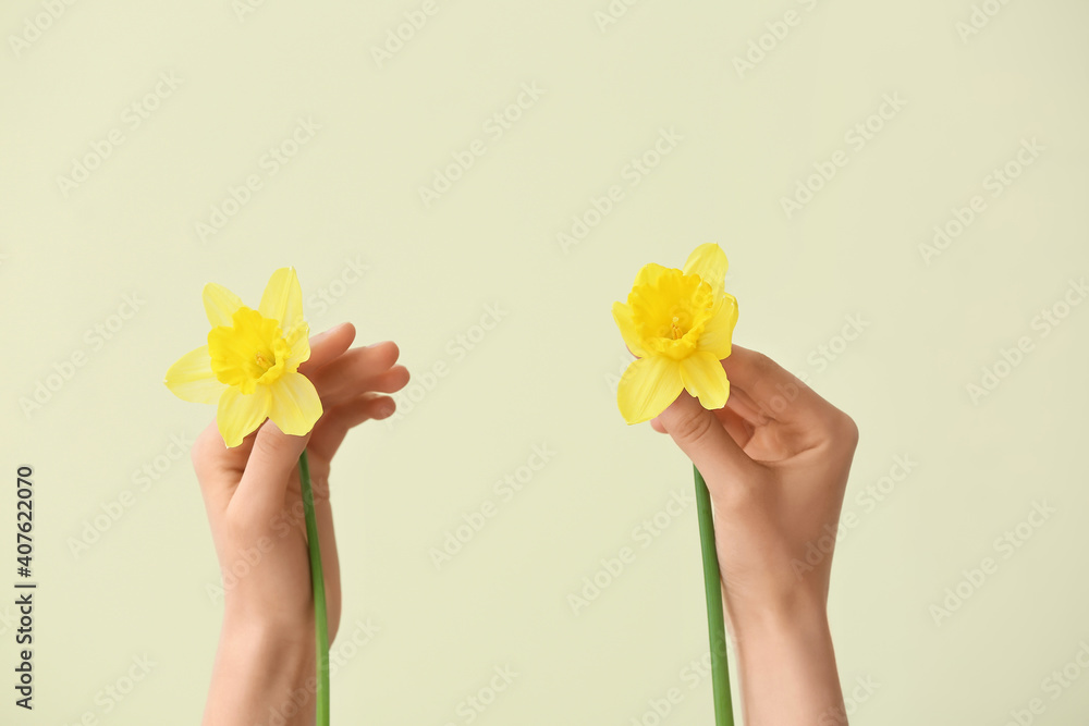 Female hands with narcissus on color background