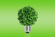 © conzorb - green idea and growth