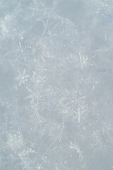 Poster - Detail of snowflakes in winter.