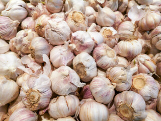 Canvas Print - Garlic in the supermarket as a background.