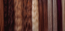 Colorful Hair Extension. Professional Hair Concept