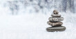 The object of the stones in the winter forest. Zen concept. Winter snowy Meditation.