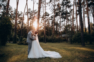 Evening walk of the bride and groom in the summer forest. Beautiful photo session at sunset.