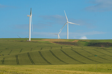 wind turbines farm in the overberg area of the western cape, south africa concept renewable green en
