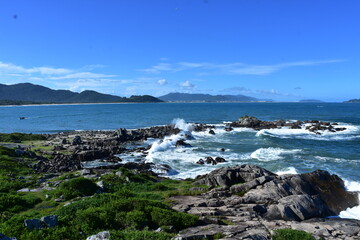 Wall Mural - praia da armaçao floripa