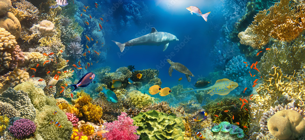 underwater paradise background coral reef wildlife nature collage with shark manta ray sea turtle colorful fish background - obrazy, fototapety, plakaty 