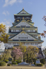 Canvas Print - Cherry blossom trees (Sakura) and Osaka Castle (Osaka-jo), located in Chuo-ku, Osaka, Kansai (Japan)