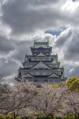 Sticker - Cherry blossom trees (Sakura) and Osaka Castle (Osaka-jo), located in Chuo-ku, Osaka, Kansai (Japan)