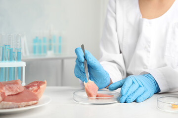 Wall Mural - scientist with raw meat at table in laboratory, closeup. poison detection