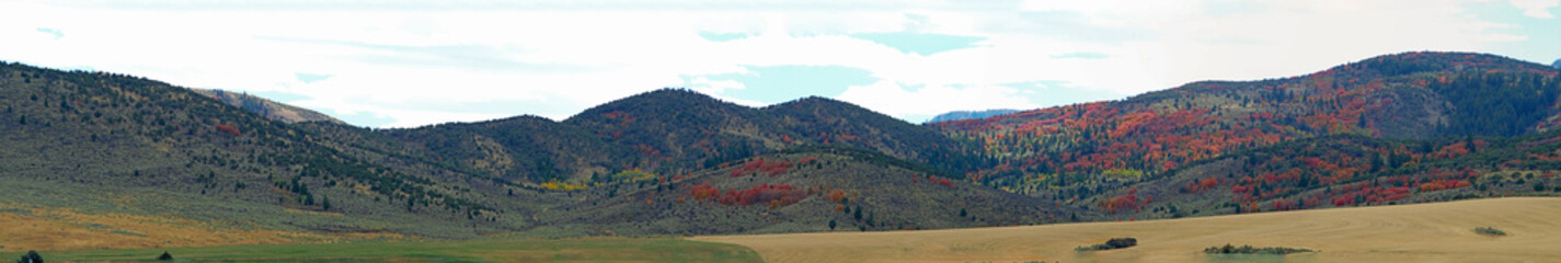 Poster - Panoramic shot of mountains with colorful trees in the daytime under the cloudy sky