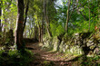 © hassan bensliman - Hiking path  in Costa verde mountain. Upper Corsica