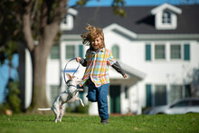 Dog With Leash Running With Handler. Little Boy On A Background Of Green Backyard Lawn In An Summer Sunny Day. Little Puppy Chasing Baby.