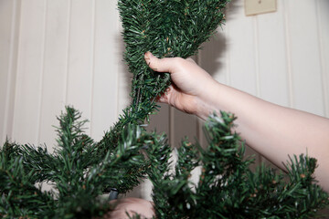 Wall Mural - Woman Fluffing out Christmas Tree Limbs