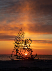 Wall Mural - beautiful sunrise at the beach over the ocean