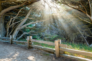 Wall Mural - Sunset from Pfeiffer Beach in Big Sur.