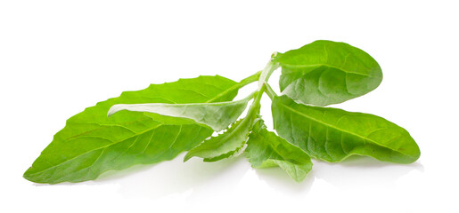 Wall Mural - Green vegetables isolated on white background