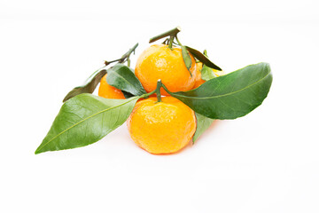 Ripe seasonal tangerines with leaves isolated on a white