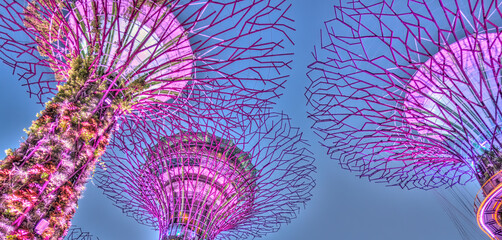 Wall Mural - Singapore, Gardens by the Bay, HDR Image