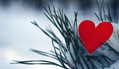 Red Heart on the snowy pine branch background. Valentines Day concept. Love concept. Christmas, New Year. Copyspace. Selective focus.