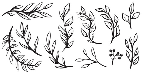 Wall Mural - Collection hand drawn branches and leaves isolated on white background. Set of cartoon floral design elements. Vector botanical illustration.