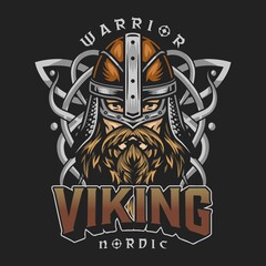 Poster - Viking colorful vintage design