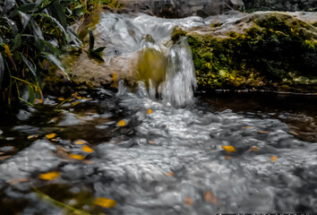 waterfall in the forest