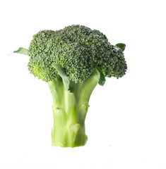 Wall Mural - fresh green broccoli isolated on white background