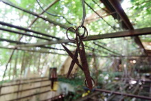 Two Old Rusty Garden Scissors Hanging In An Abandoned Greenhouse, Gardening And Cutting Plants
