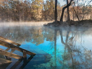 Early Winter Morning at Ginnie Springs on the Santa Fe River, Florida	
