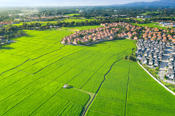 Wall Mural - land or landscape of green field in aerial view. include agriculture farm, house building, village. 