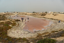 Pink Lake With White Salt Edges In The Sand From Algae, Salt, And Minerals.
