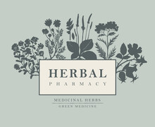 Vector Banner Or Label With Inscription Herbal Pharmacy. Hand-drawn Illustration With Silhouettes Of Medicinal Herbs On A Grey Background. Decorative Frame With Herbal Flowers In Retro Style