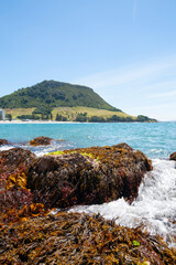 Poster - Landmark Mount Maunganui on horizon beyond roky foreshore