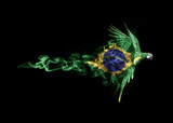 Fototapeta Zwierzęta - flying macaw with the national flag of Brasil