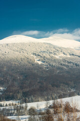 Poster - Snowy Bieszczady Mountains in Winter. Snow Covered Trees. Blue Sky and Sunny Day in Poland.