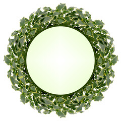Wall Mural - decorative circle of green leaves on a white background.